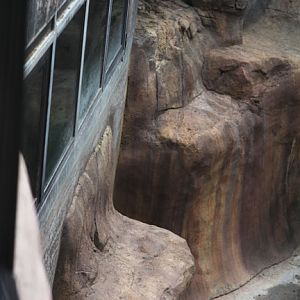 construction progress.