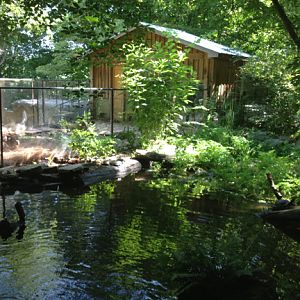 Turtle exhibit