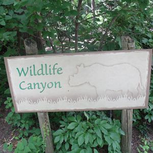 Wildlife Canyon