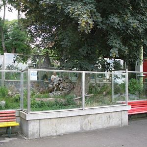 Enclosure_for_white-throated_monitors