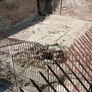 Old_big_cat_enclosure