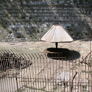 Old_big_cat_enclosure1