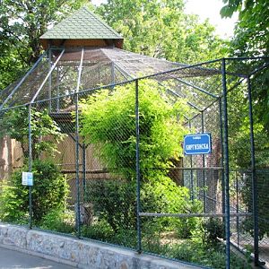 Egyptian_Vulture_enclosure