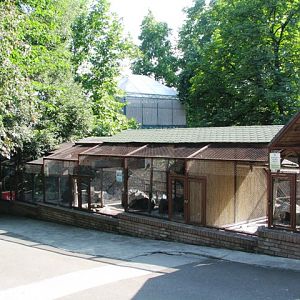 Parrots_and_other_small_birds