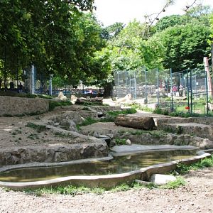 White_lions_enclosure