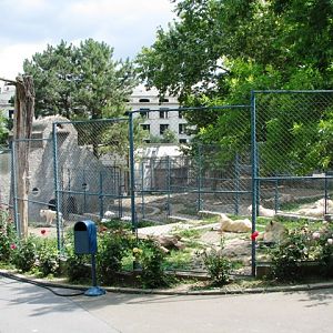 White_lions_enclosures