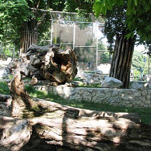 White_tiger_enclosure