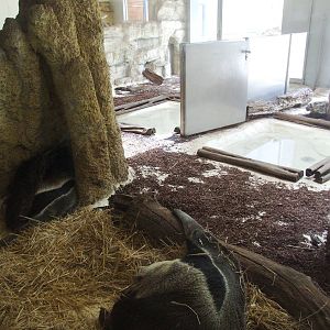 South America House Interior at Vienna, 14/06/13