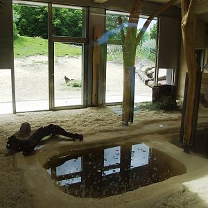 South America House Interior at Vienna, 14/06/13