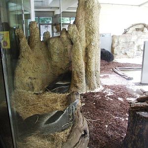 South America House Interior at Vienna, 14/06/13