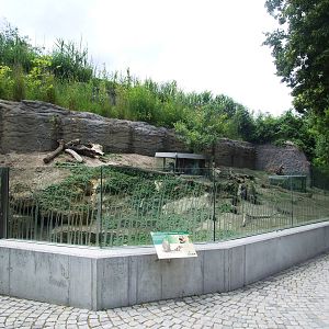 Prairie Marmot Enclosure at Vienna, 14/06/13