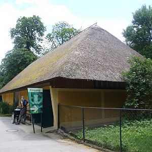 Insectarium at Vienna, 14/06/13