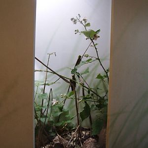 Insectarium at Vienna, 14/06/13