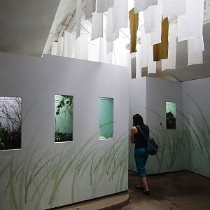 Insectarium at Vienna, 14/06/13