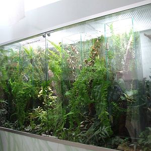 Insectarium at Vienna, 14/06/13