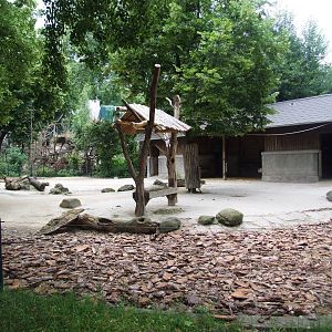 Reindeer Enclosure at Vienna, 14/06/13