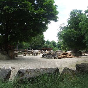 Rhino Park at Vienna, 14/06/13