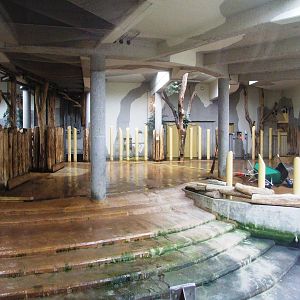 Rhino Park at Vienna, 14/06/13