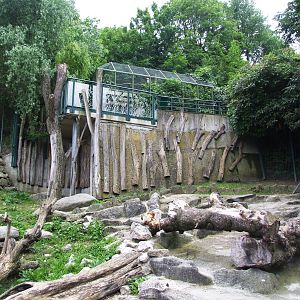 Tahr Enclosure at Vienna, 14/06/13