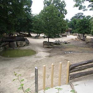 Rhino Park at Vienna, 14/06/13