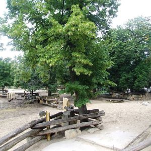 Rhino Park at Vienna, 14/06/13