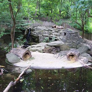 Coypu Enclosure at Vienna, 14/06/13