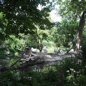 Water Bird Enclosure at Vienna, 14/06/13