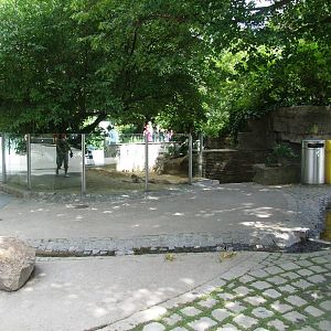 Mongoose Enclosure and Water Feature at Vienna, 14/06/13