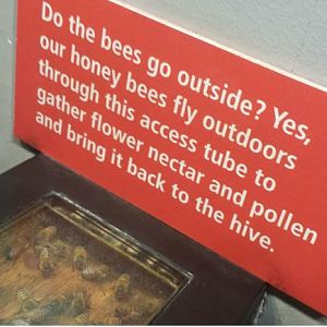 Jul. 2013 - World of the Insect - Honey Bee Sign