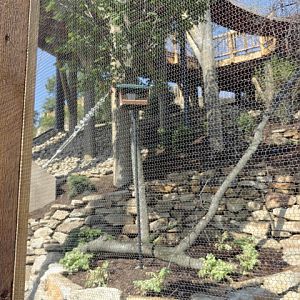 Mike and Mary Stark Grizzly Ridge - Lower Aviary