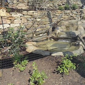 Mike and Mary Stark Grizzly Ridge - Lower Aviary