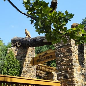 Mike and Mary Stark Grizzly Ridge - Entry Plaza