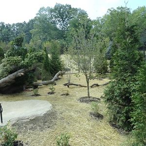 Mike and Mary Stark Grizzly Ridge - Bald Eagle Exhibit