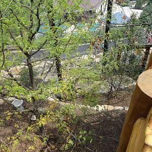 Mike and Mary Stark Grizzly Ridge - Lower Aviary From Upper Aviary