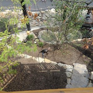 Mike and Mary Stark Grizzly Ridge - Lower Aviary From Upper Aviary