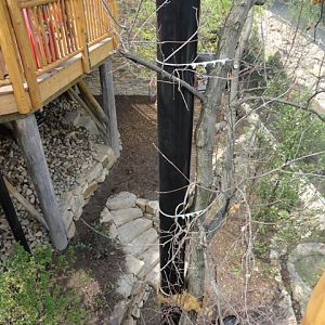 Mike and Mary Stark Grizzly Ridge - Lower Aviary From Upper Aviary