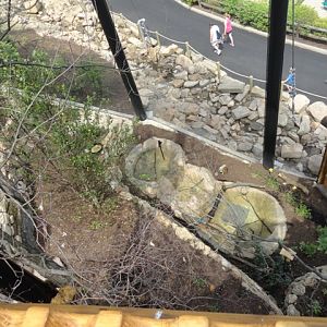 Mike and Mary Stark Grizzly Ridge - Lower Aviary From Upper Aviary
