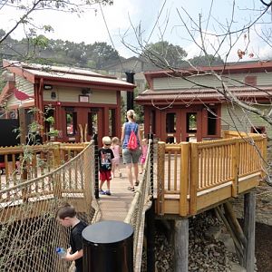 Mike and Mary Stark Grizzly Ridge - Upper Aviary