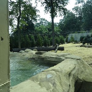 Mike and Mary Stark Grizzly Ridge - Grizzly Bear Exhibit