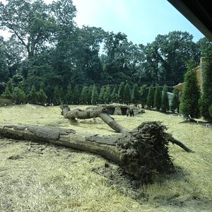Mike and Mary Stark Grizzly Ridge - Grizzly Bear Exhibit
