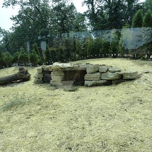 Mike and Mary Stark Grizzly Ridge - Grizzly Bear Exhibit