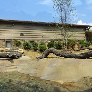 Mike and Mary Stark Grizzly Ridge - Otter Exhibit