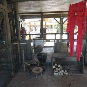 Mike and Mary Stark Grizzly Ridge - Education Animal Porch