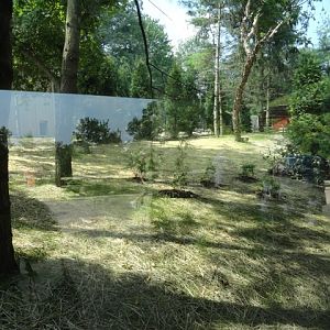 Mike and Mary Stark Grizzly Ridge - Coyote Exhibit