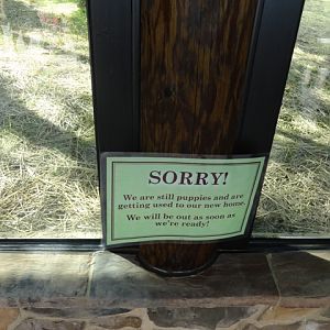 Mike and Mary Stark Grizzly Ridge - Coyote Exhibit