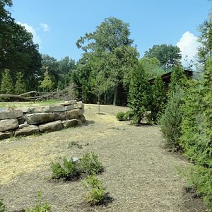 Mike and Mary Stark Grizzly Ridge - Red Wolf Exhibit