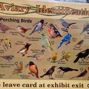 Mike and Mary Stark Grizzly Ridge - Aviary ID Sheet