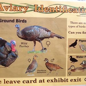 Mike and Mary Stark Grizzly Ridge - Aviary ID Sheet