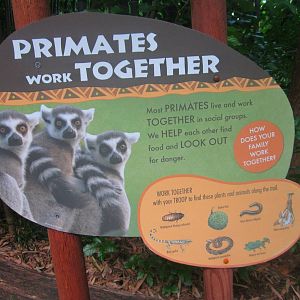 Jul. 2013 - New Jungle Trails Sign