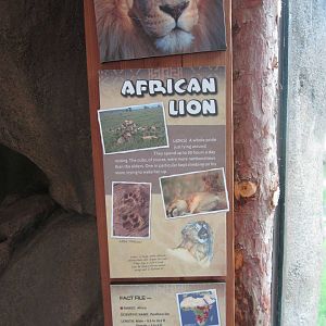 Jul. 2013 - Africa - African Lion Sign